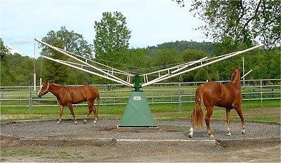 ProWalk Horse Walkers